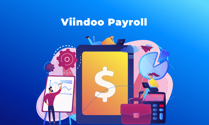 hệ thống quản l&yacute; nh&acirc;n sự tiền lương Viindoo Payroll