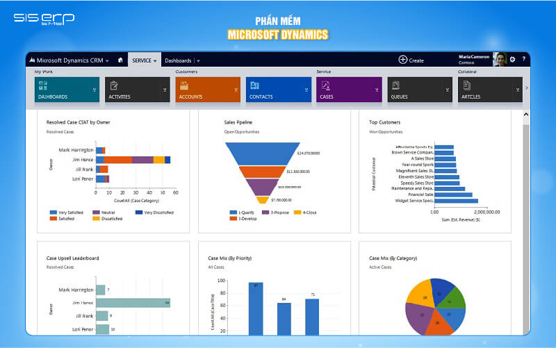 microsoft dynamics